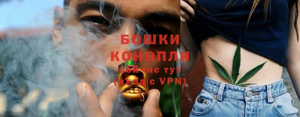 дмт Тайга