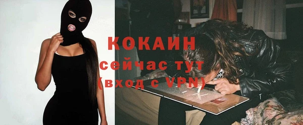 дмт Тайга