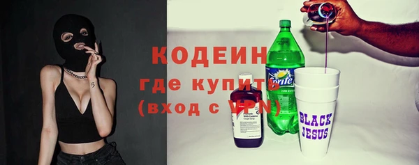 дмт Тайга