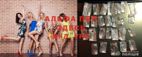 Альфа ПВП Сясьстрой