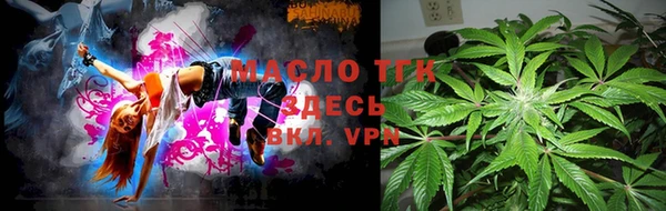 дмт Тайга