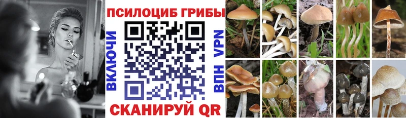 Купить  Горно-Алтайск  Галлюциногенные грибы GOLDEN TEACHER 